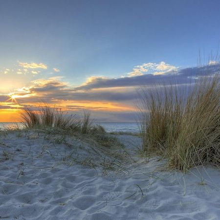 Urlaub Im Wintergarten Rostock-Lichtenhagen-Dorf Apartament Zewnętrze zdjęcie